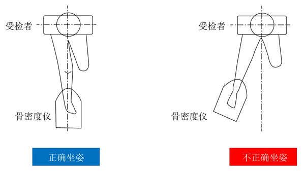 骨密度儀檢測坐姿圖